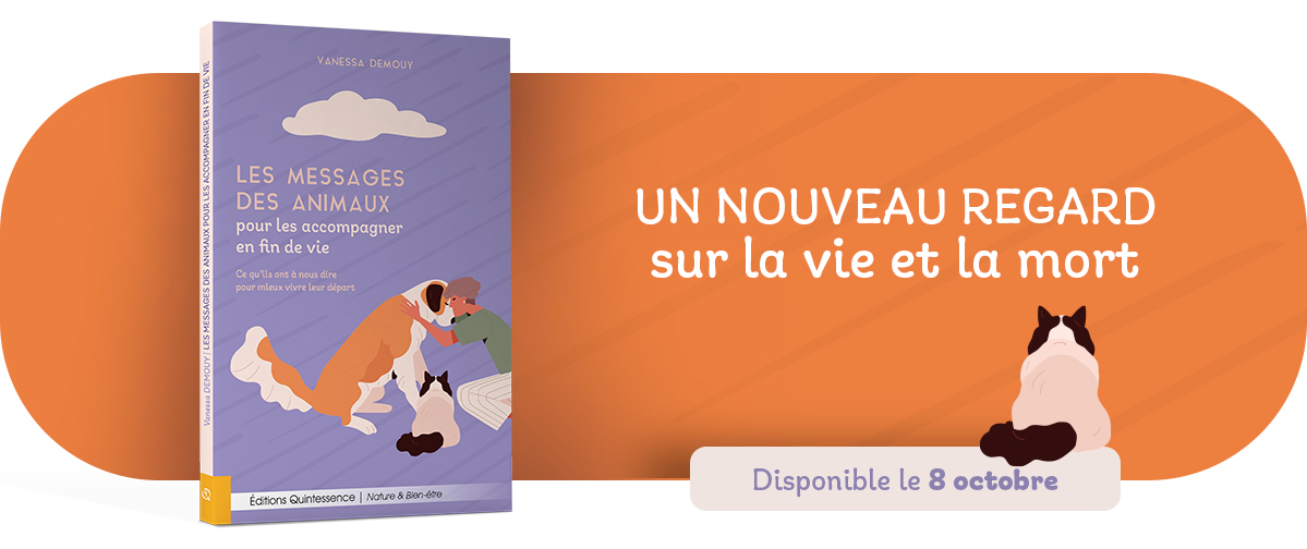 Bandeau site les messages des animaux